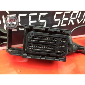 Faisceau électrique principale 