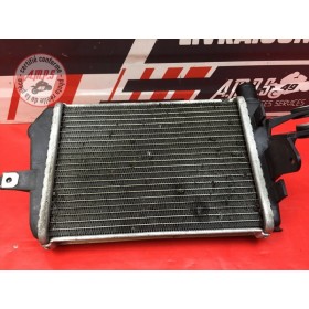 Radiateur d'eau gauche 