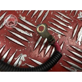 Cable de batterie 