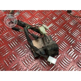 Faisceau électrique principale 