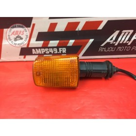 Clignotant arrière gauche 