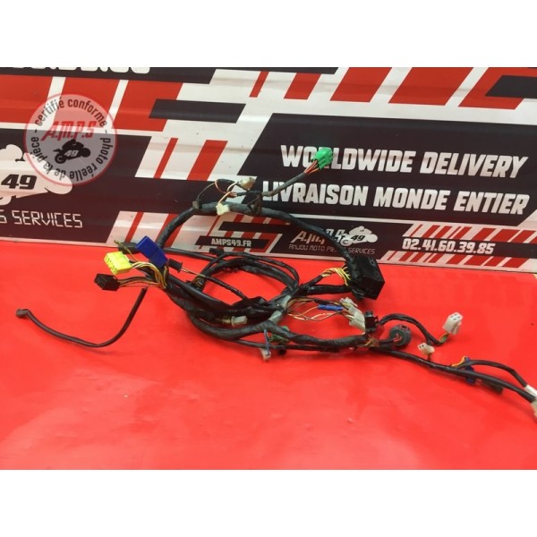 Faisceau électrique principale 