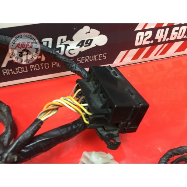 Faisceau électrique principale 