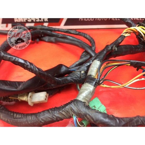 Faisceau électrique principale 