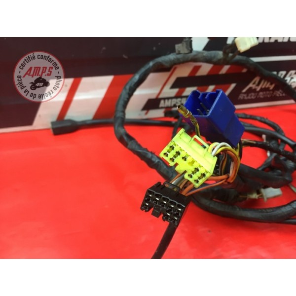 Faisceau électrique principale 