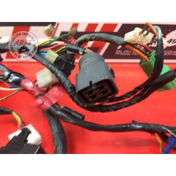 Faisceau électrique principale 