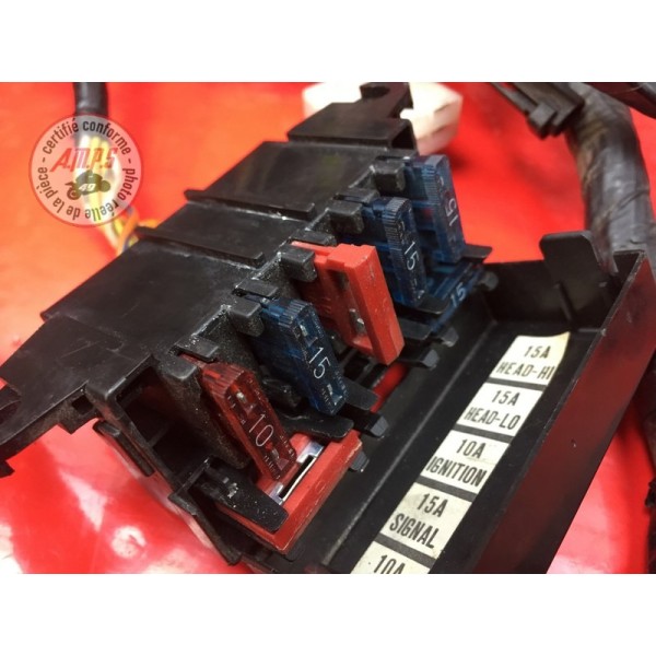 Faisceau électrique principale 