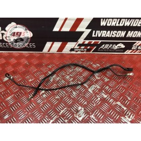 Cable de masse