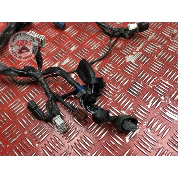 Faisceau électrique principale 