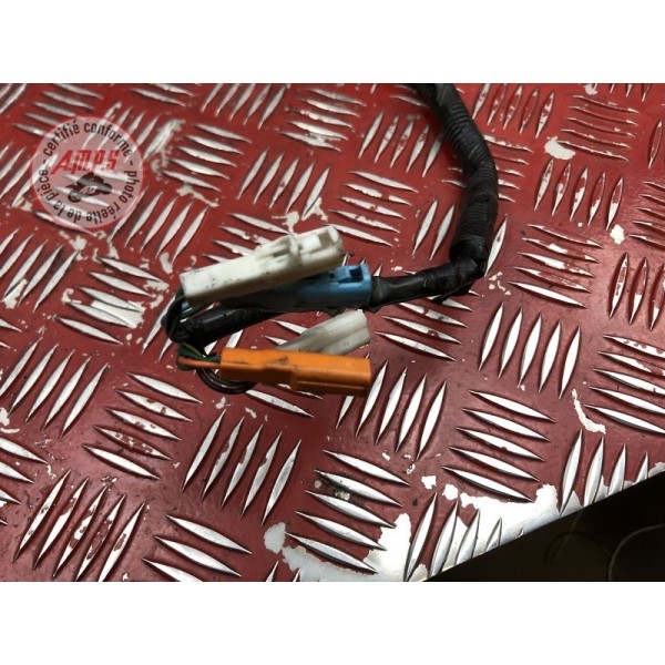 Faisceau électrique principale 