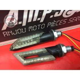 Clignotants adaptable 2 