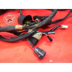 Faisceau électrique principale 