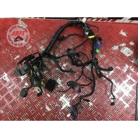 Faisceau électrique principale 