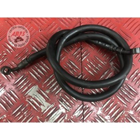 Durite de frein avant 