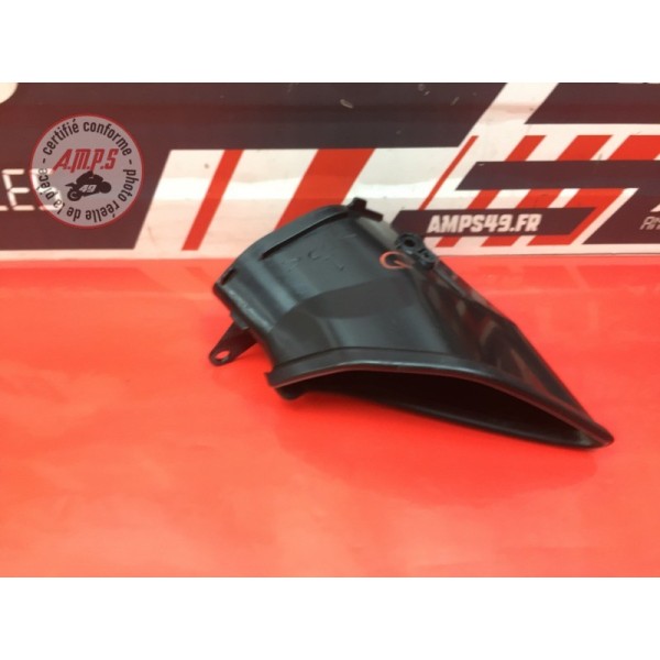 Grille Ram Air gauche 
