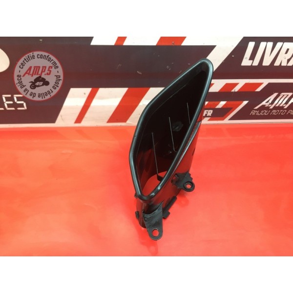 Grille Ram Air gauche 