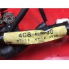 Faisceau électrique principale 