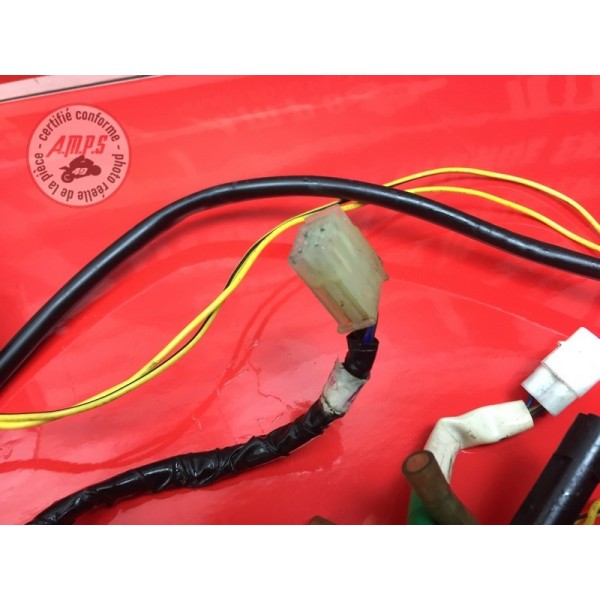 Feux arrière LED adaptable 