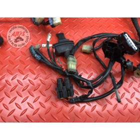 Faisceau électrique principale 