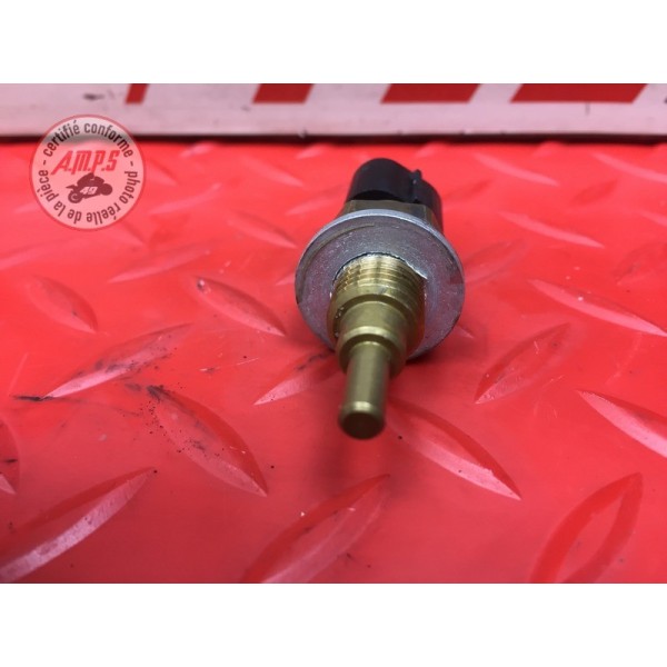 Sonde de température d'eau 