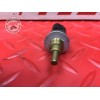 Sonde de température d'eau 
