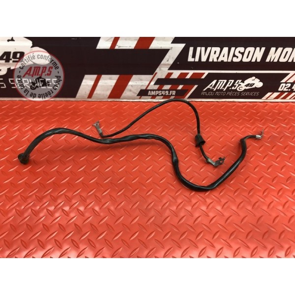 Cable de masse Honda CBF 900 Hornet 2002 à 2006
