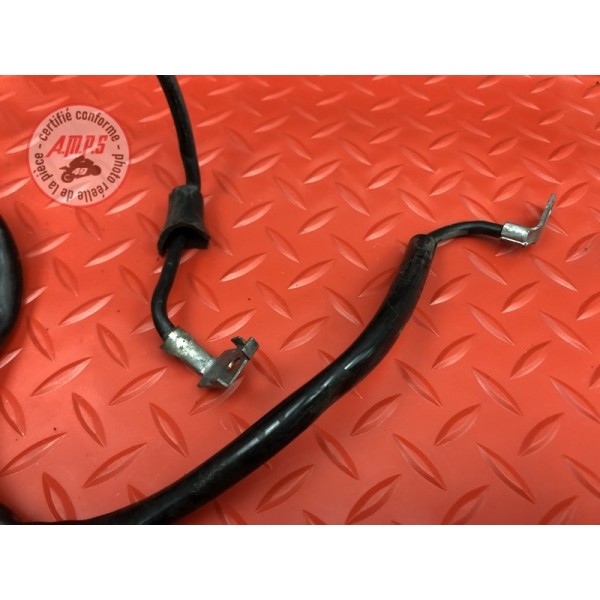 Cable de masse Honda CBF 900 Hornet 2002 à 2006