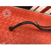 Cable de masse Honda CBF 900 Hornet 2002 à 2006