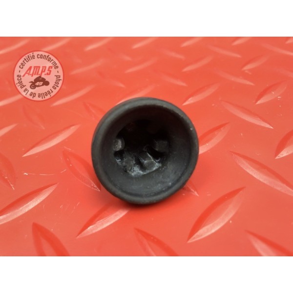 Bouchon d'axe moteur 