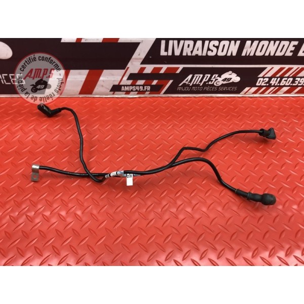 Cable de masse 