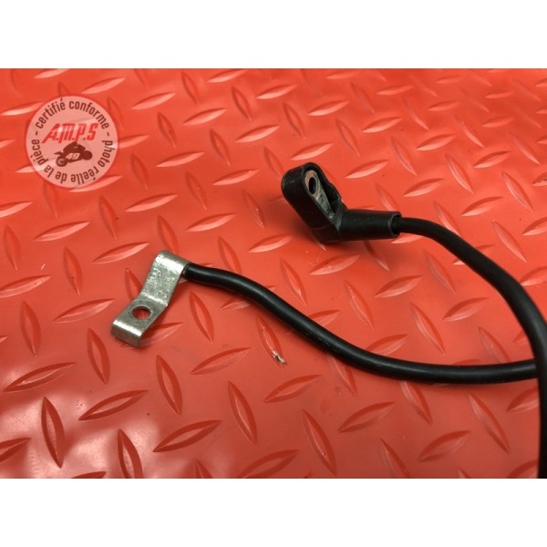 Cable de masse 