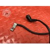 Cable de masse 