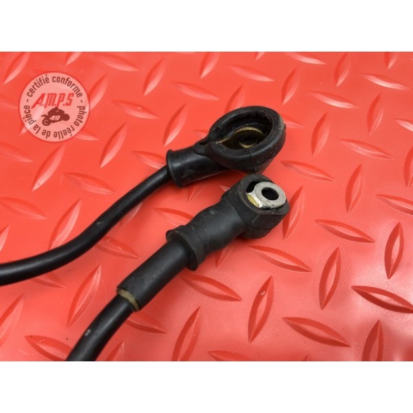 Cable de masse 