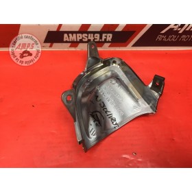 Enjoliveur d'optique gauche 