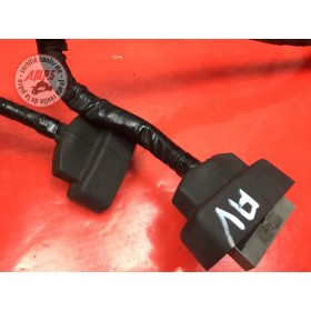 Faisceau électrique avant 