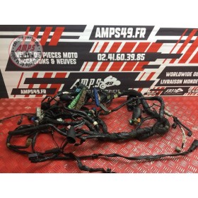 Faisceau électrique principale
