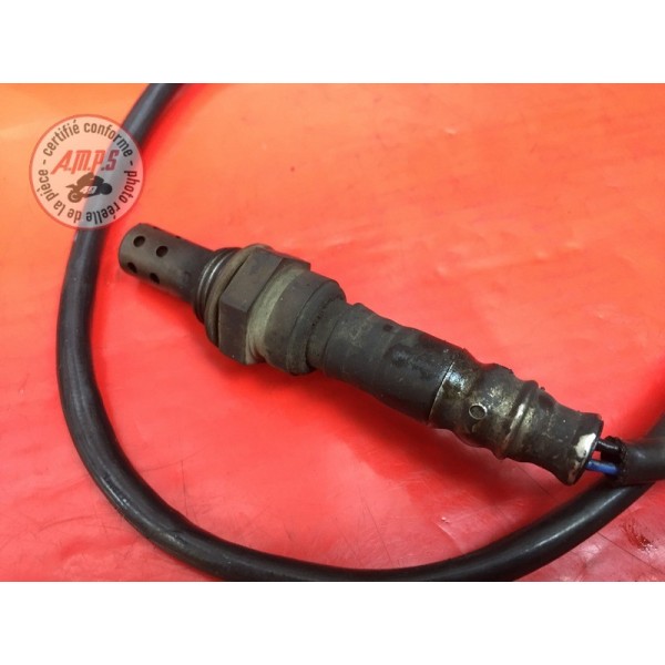 Sonde lambda droite 