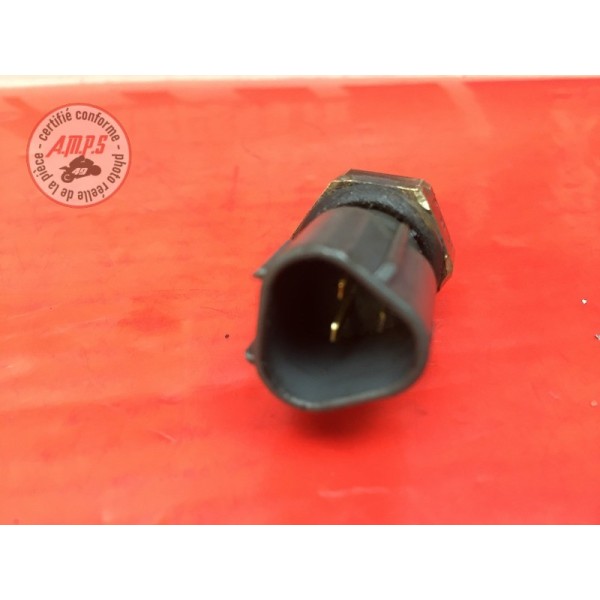 Sonde de température d'eau 