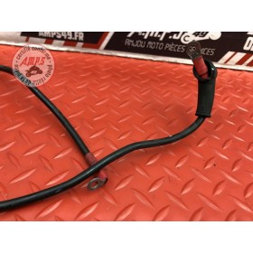 Cable de batterie 