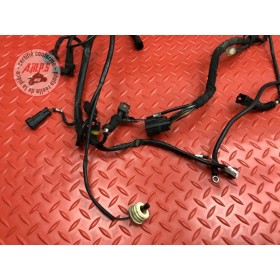 Faisceau électrique principale 