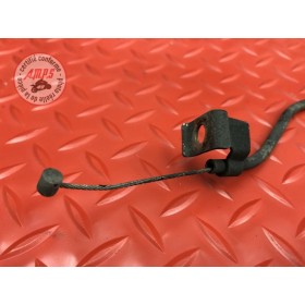 Cable de valve d'échappement 