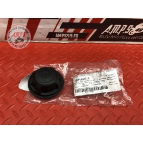 Cabochon optique 39040261A