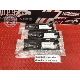 Filtre pompe à essence MWR-109 R1-RM 2015-2017