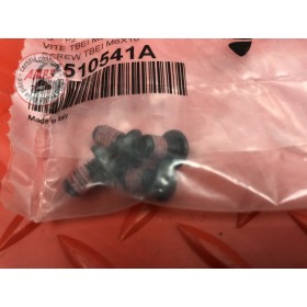 Vis m6x10 77510541A X4 
