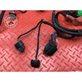 Faisceau électrique principale 