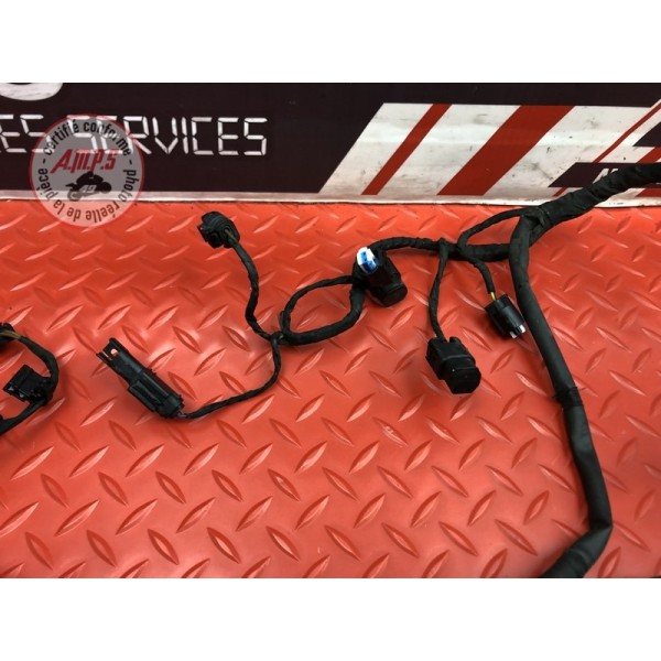 Faisceau électrique principale 