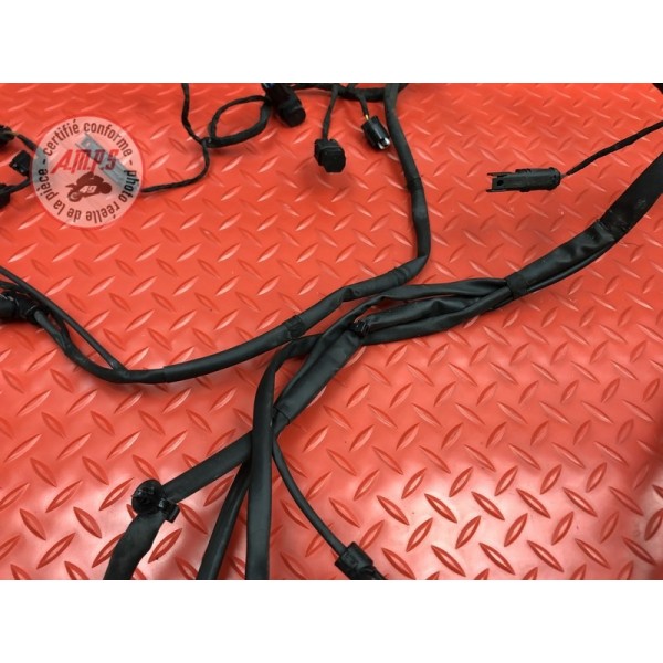 Faisceau électrique principale 