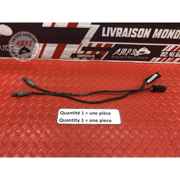 Sonde lambda