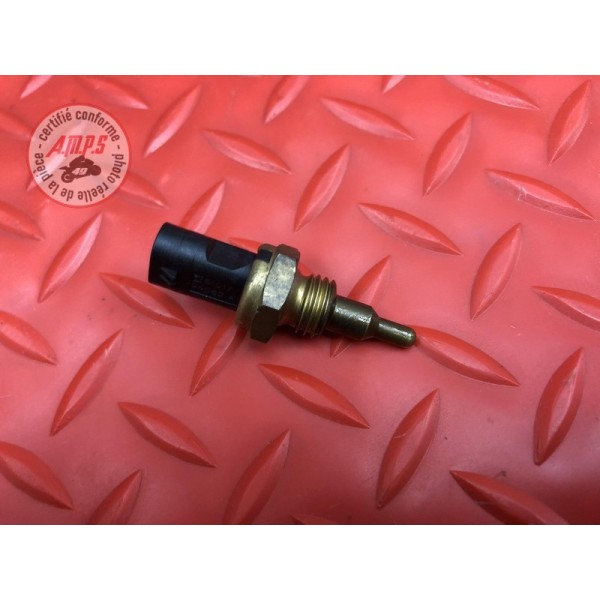 Sonde de température d'eau 