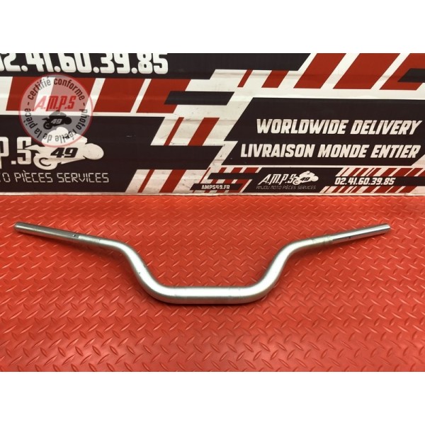 Guidon